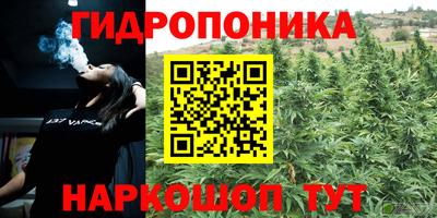 ешки Будённовск