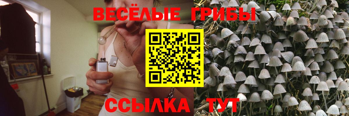 Псилоцибиновые грибы мицелий Реутов