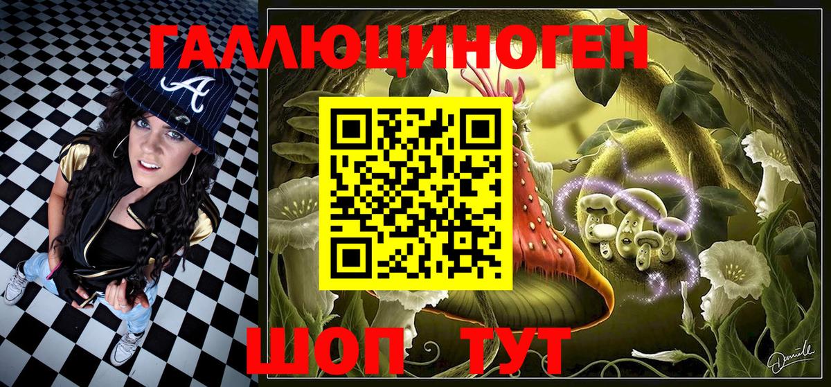 Реутов  Галлюциногенные грибы Cubensis  Вход с VPN 
