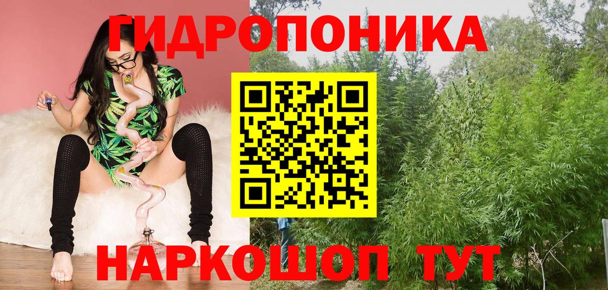 Бошки Шишки сатива Реутов